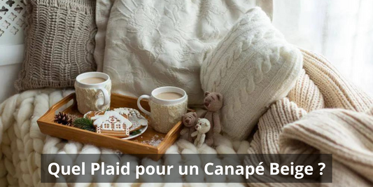 Quel plaid choisir pour un canapé beige | KOZYPLAID